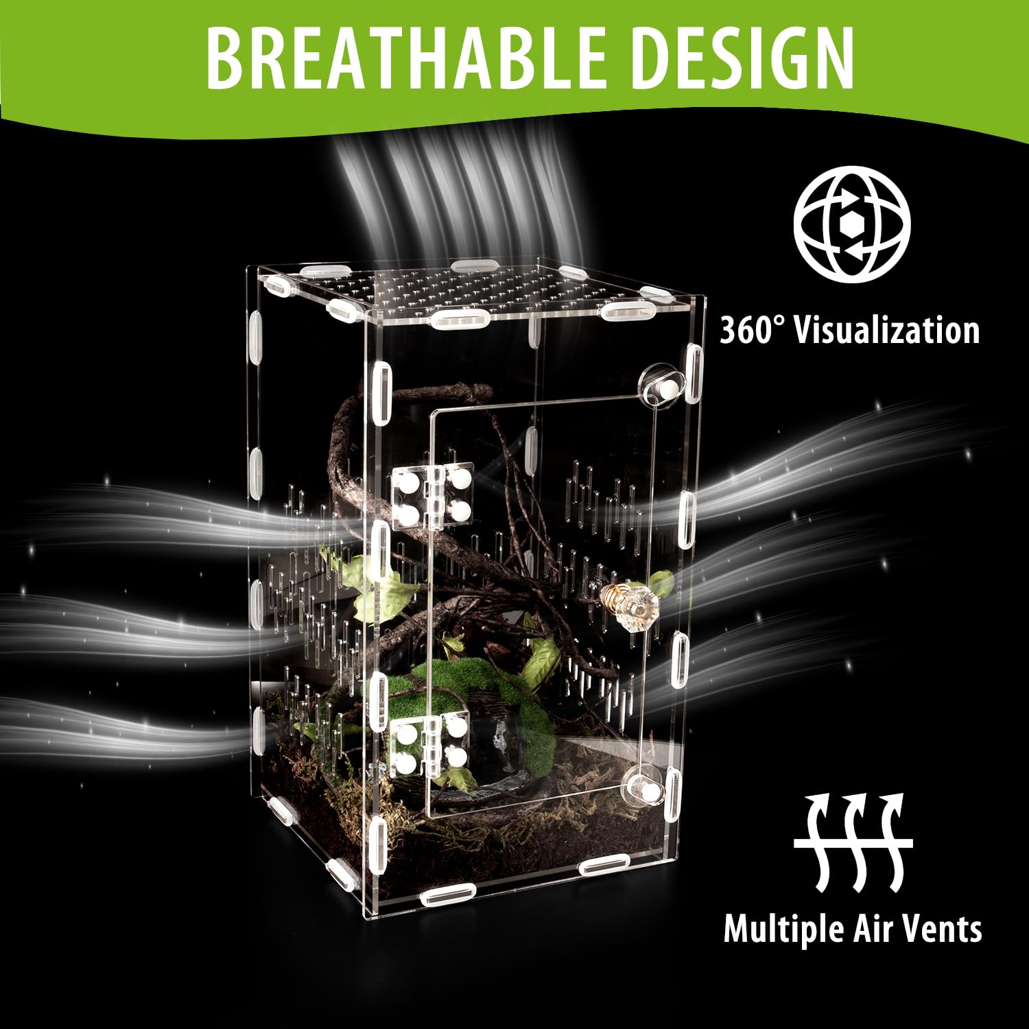 TCooSo acrylic terrarium close-up displays sturdy build and secure locks.