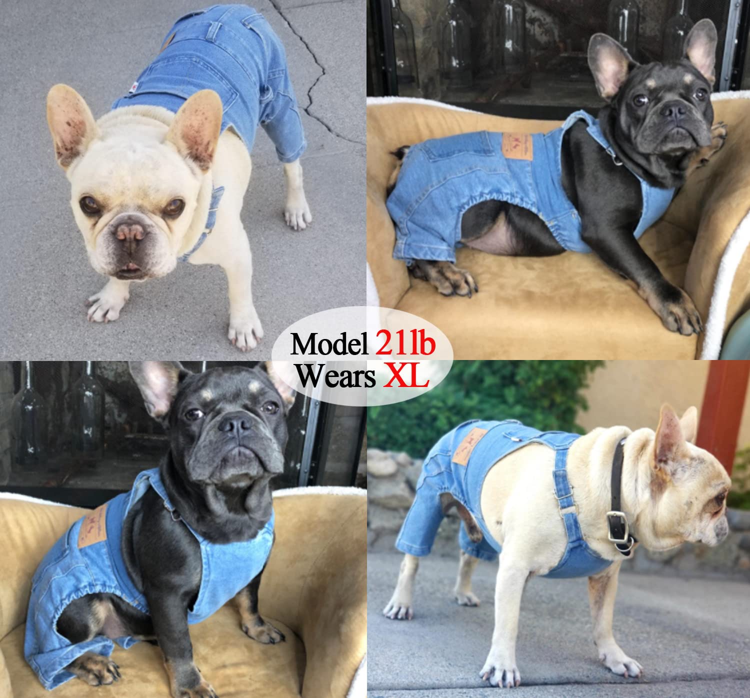 Tealots denim overalls for dogs paired with tees