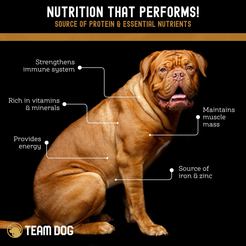 High-protein Team Dog bites designed to support focus during training.