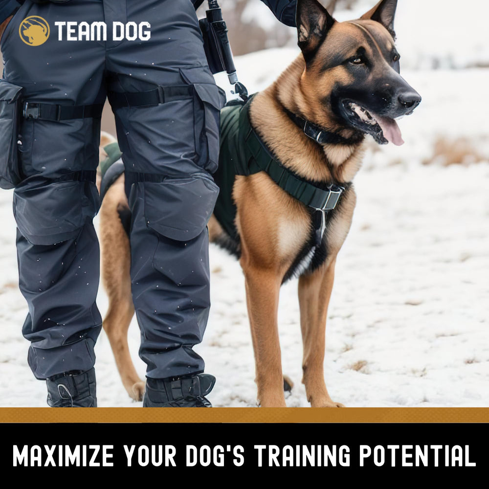 Puppy enjoying Team Dog training treats during practice.