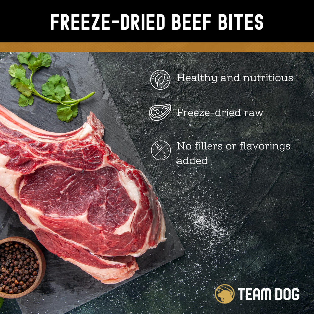 Team Dog training treats presented during a focused session for dogs.