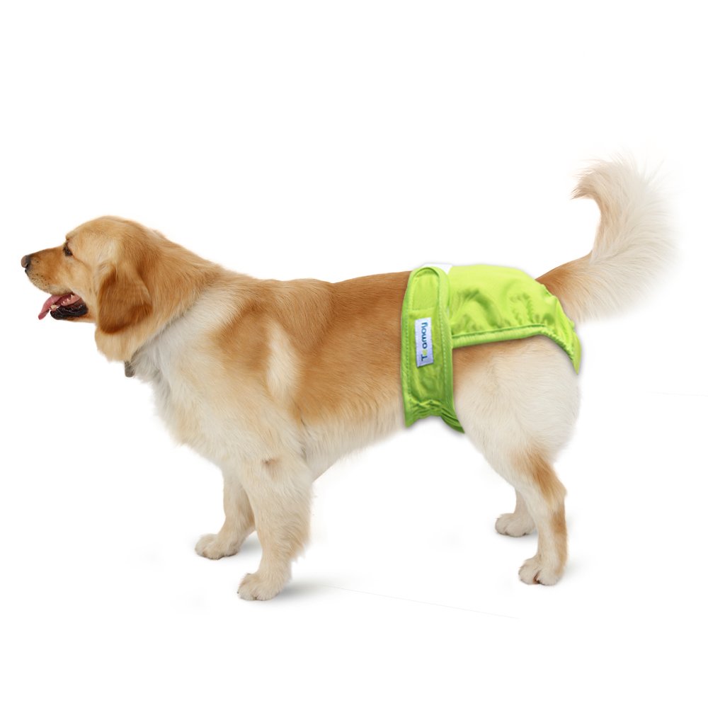Teamoy diapers support dogs in heat and period care.