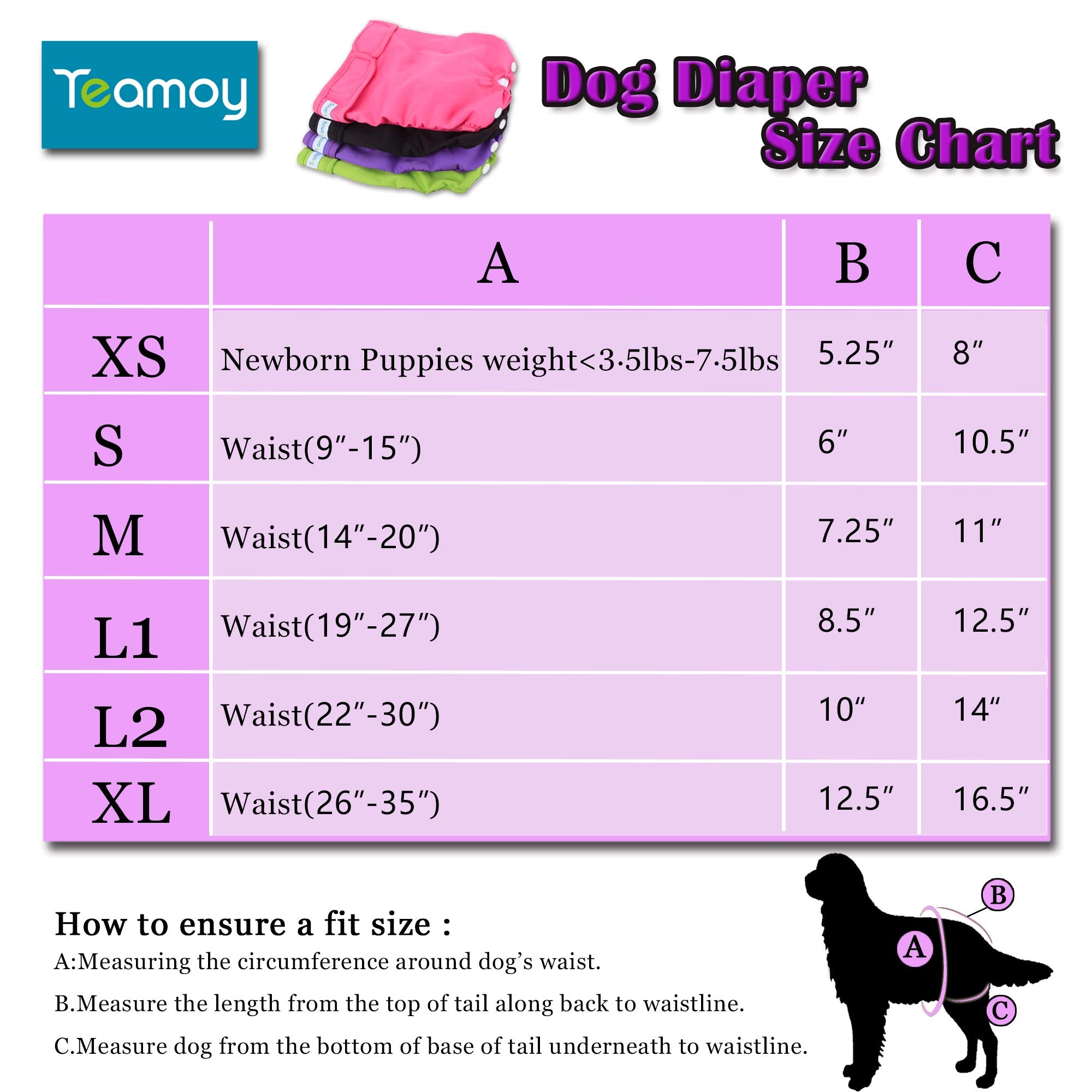 Teamoy diaper with tail hole ensures comfortable wear for dogs.