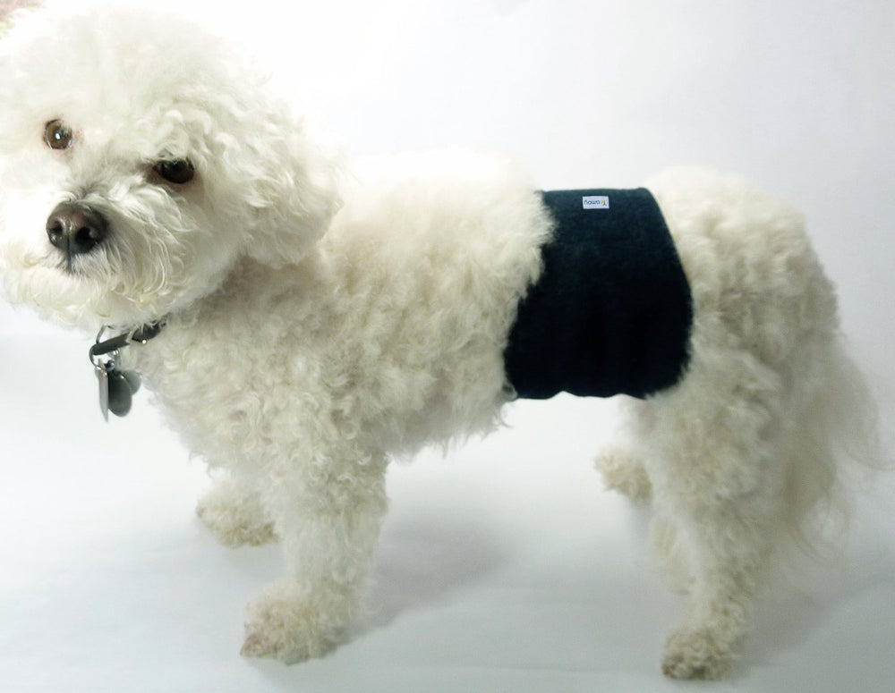 Teamoy wrap diapers in use reducing accidents during car rides and walks.