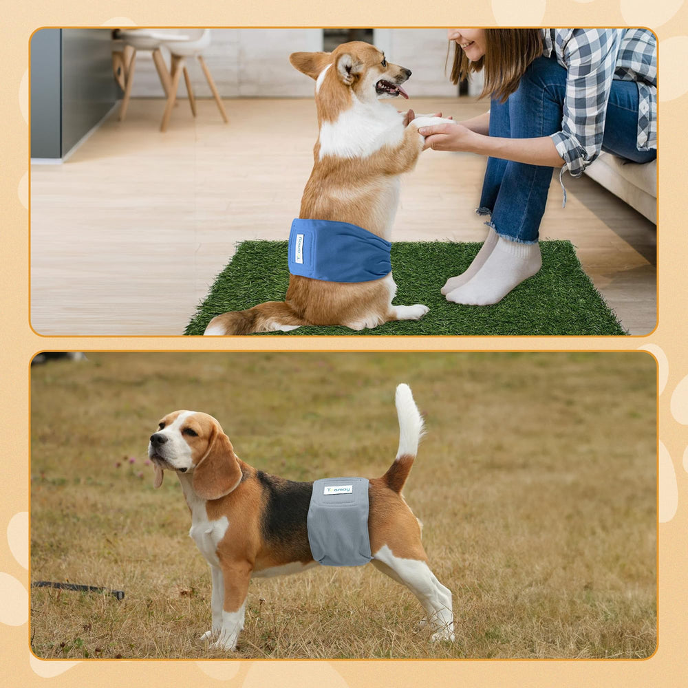 Teamoy wrap diapers withstand washing for long-lasting everyday use.