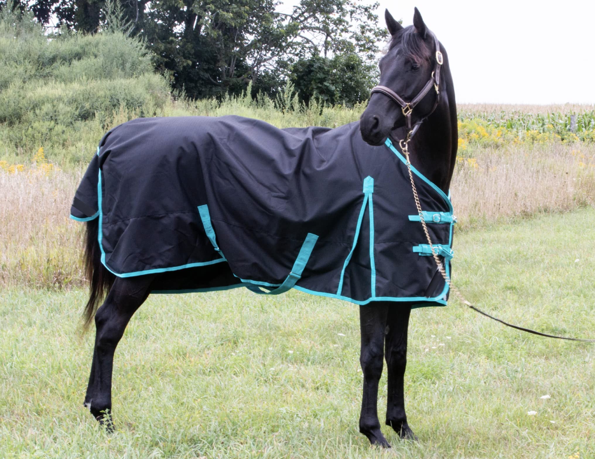 Tech Equestrian rainsheet front closure demonstrates adjustable buckles and Velcro for secure fit.