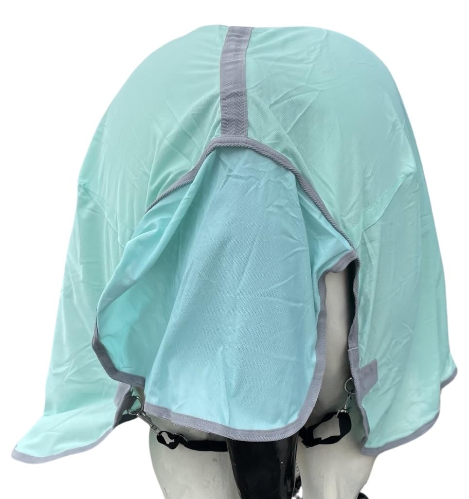Tech Equestrian front buckles provide secure closure and easy fitting.