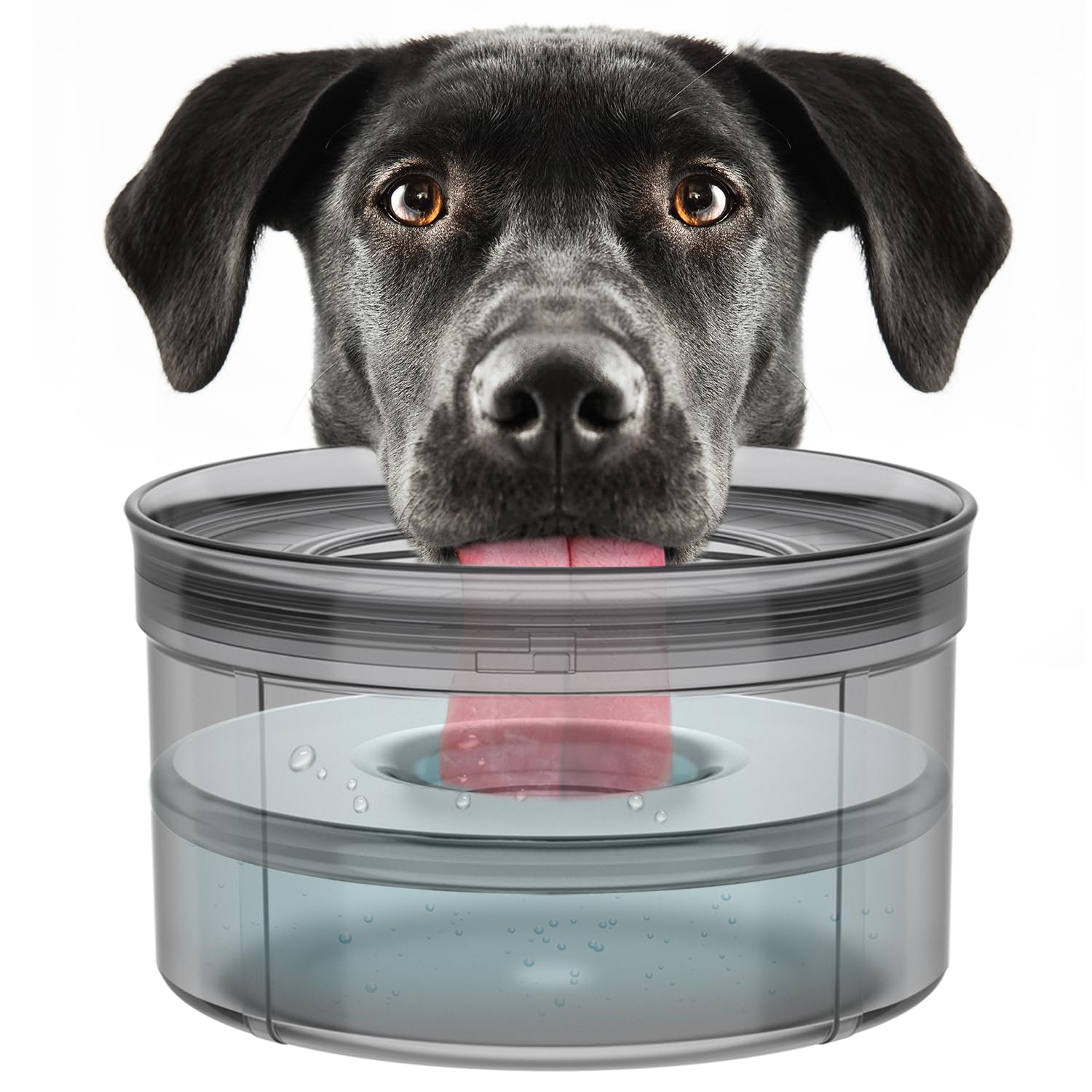 Techphardo ideal for messy drinkers and long-haired dogs.