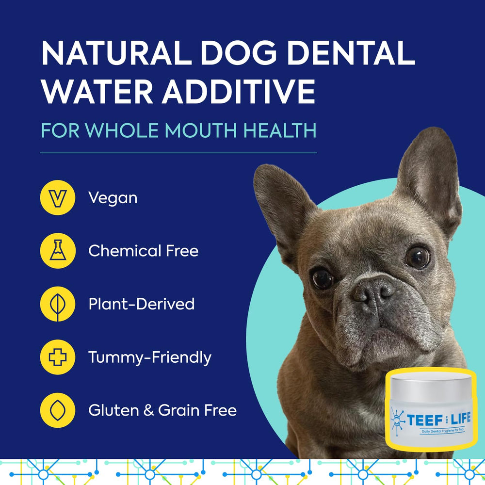 TEEF FOR LIFE Protektin42 jar shows tasteless powder for daily canine dental care.