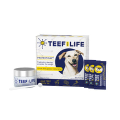 TEEF FOR LIFE Protektin42 packaging highlights plant-based dental care for easy daily use.