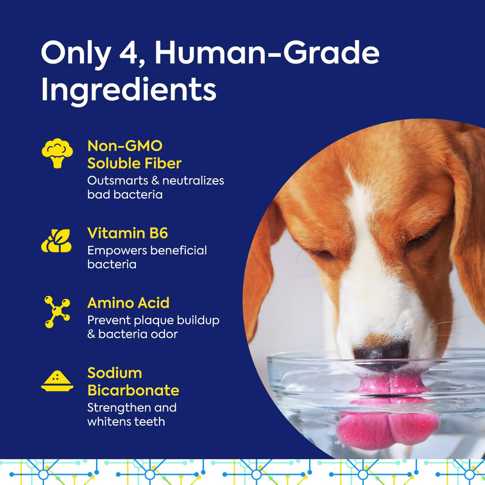 Illustration hints at improved mouth health with daily use.