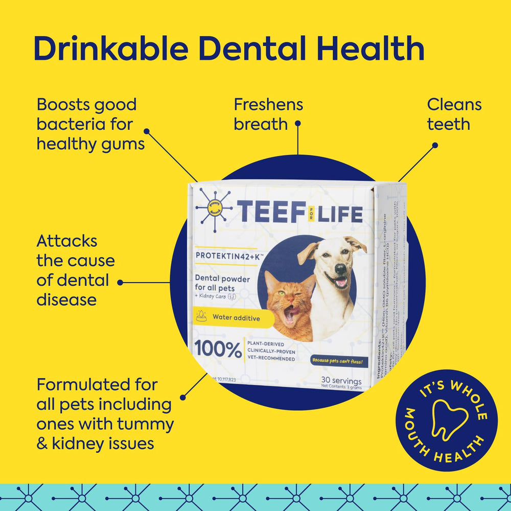 TEEF Protektin42K powder added to dog water supports daily dental care