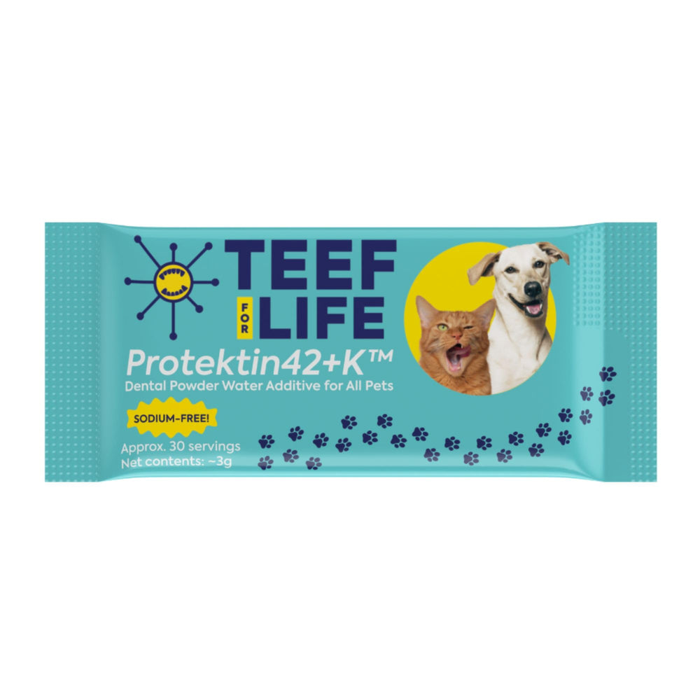 TEEF Protektin42K powder bottle with plant-based ingredients for pets’ oral health