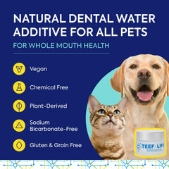 TEEF Protektin42K scoop beside pet water bowl for easy dosing
