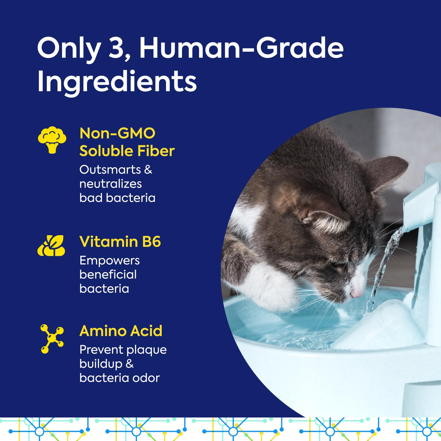 TEEF Protektin42K sodium-free formula suitable for sensitive pets