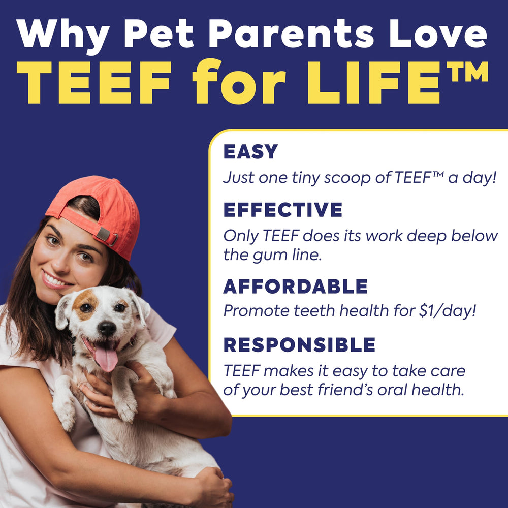 TEEF Protektin42K vet-recommended, award-winning dental support for pets