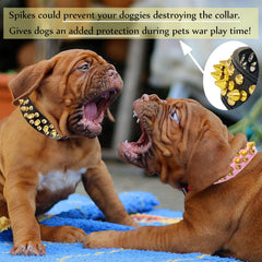 TEEMERRYCA collar ball set-gift-ready package for daily wear and playful moments.