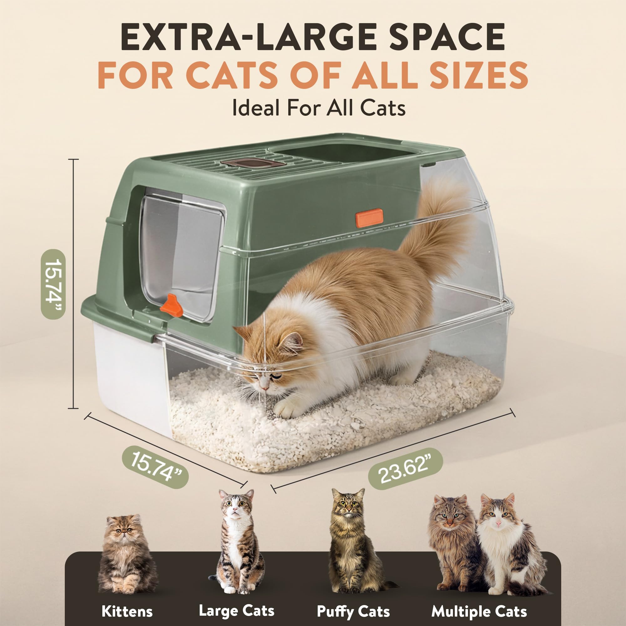 Teeny Pawty XL interior close-up reveals smooth non-stick surface for easy scooping.