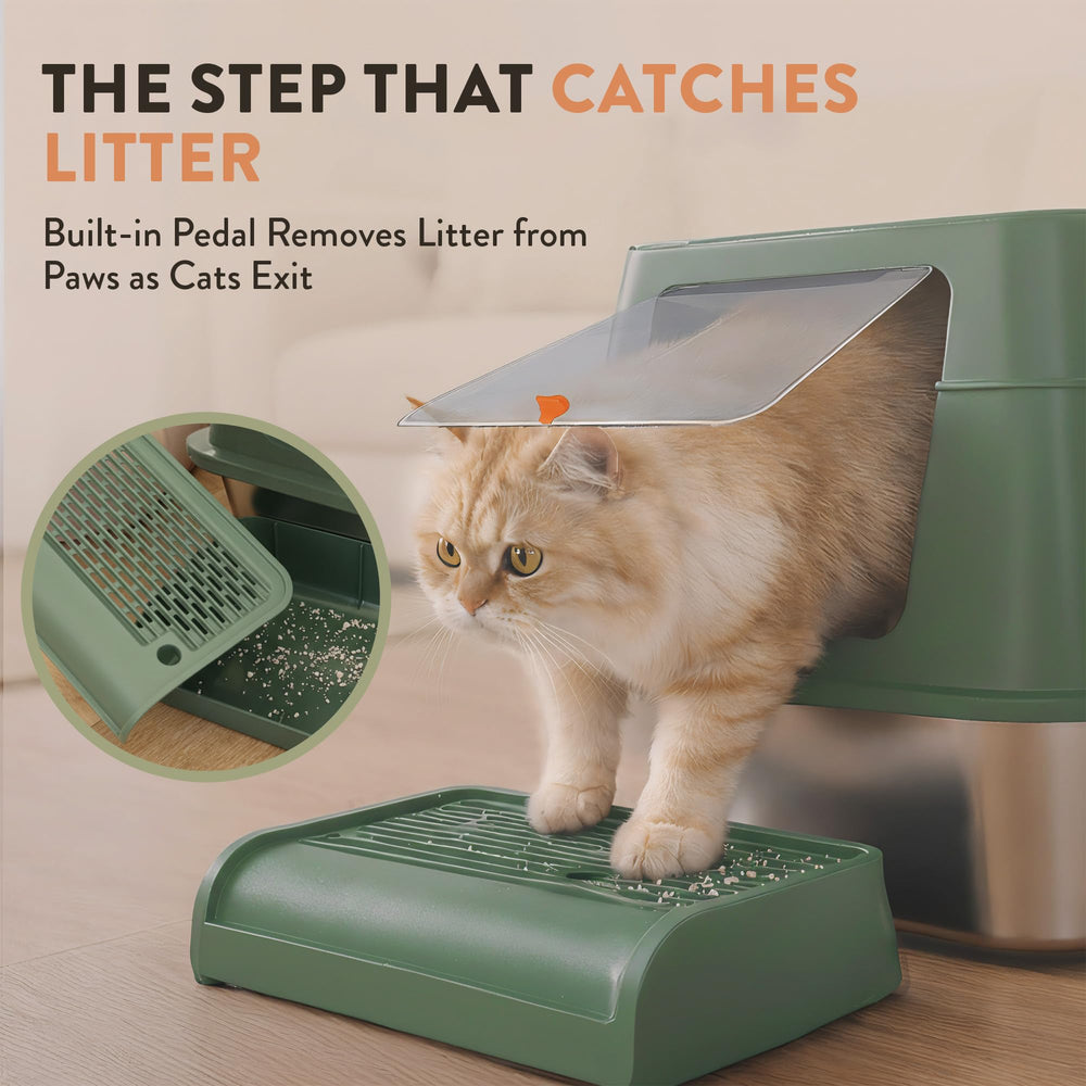 Teeny Pawty XL sage color adds a sleek, contemporary look.