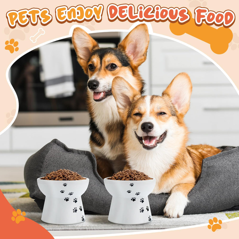 Teenyyou 250ml capacity keeps portions measured for small pets