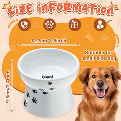 Teenyyou ceramic raised dog bowl showcases style while easing access for pets
