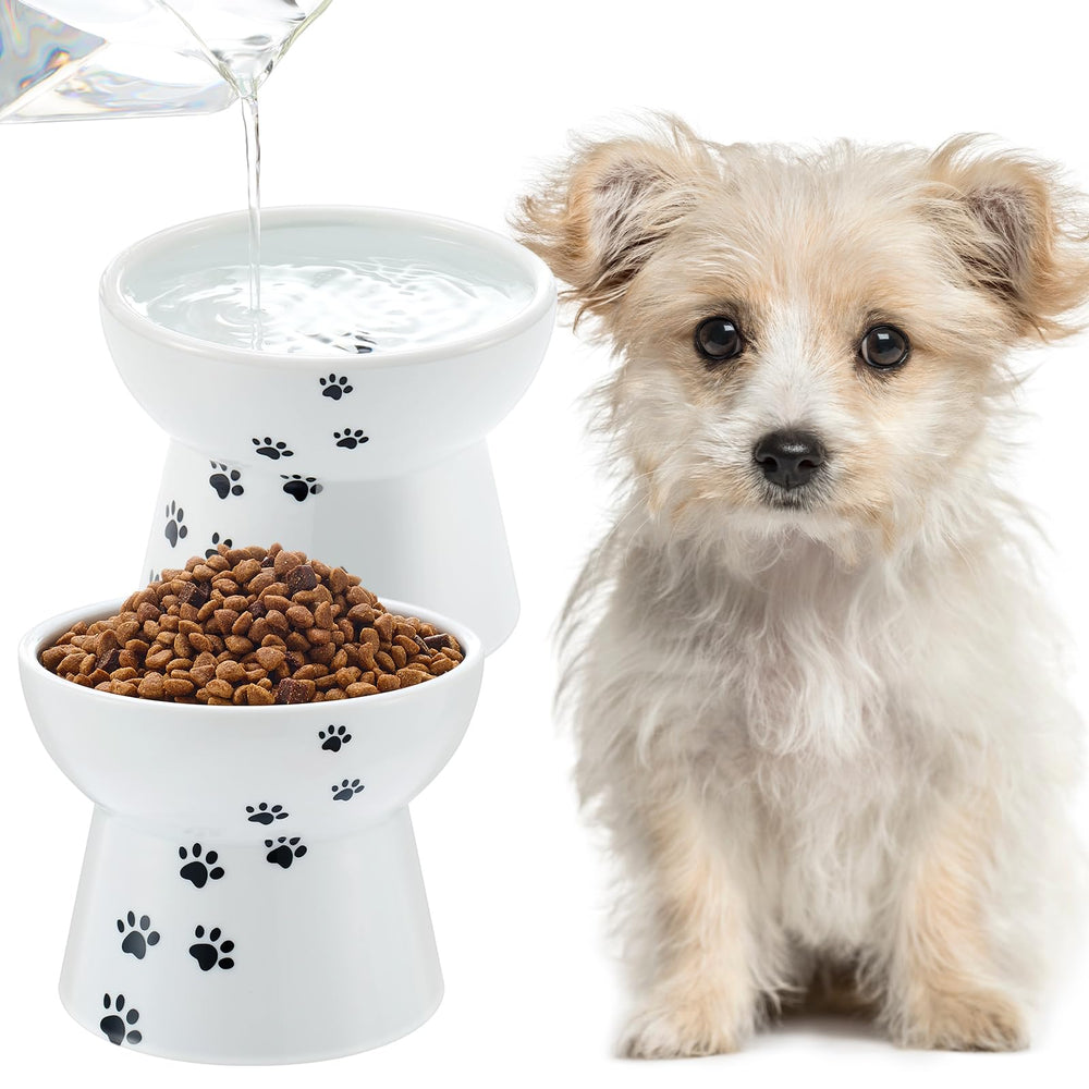 Teenyyou elevated dog bowls 2-pack for comfortable small-dog mealtimes at home