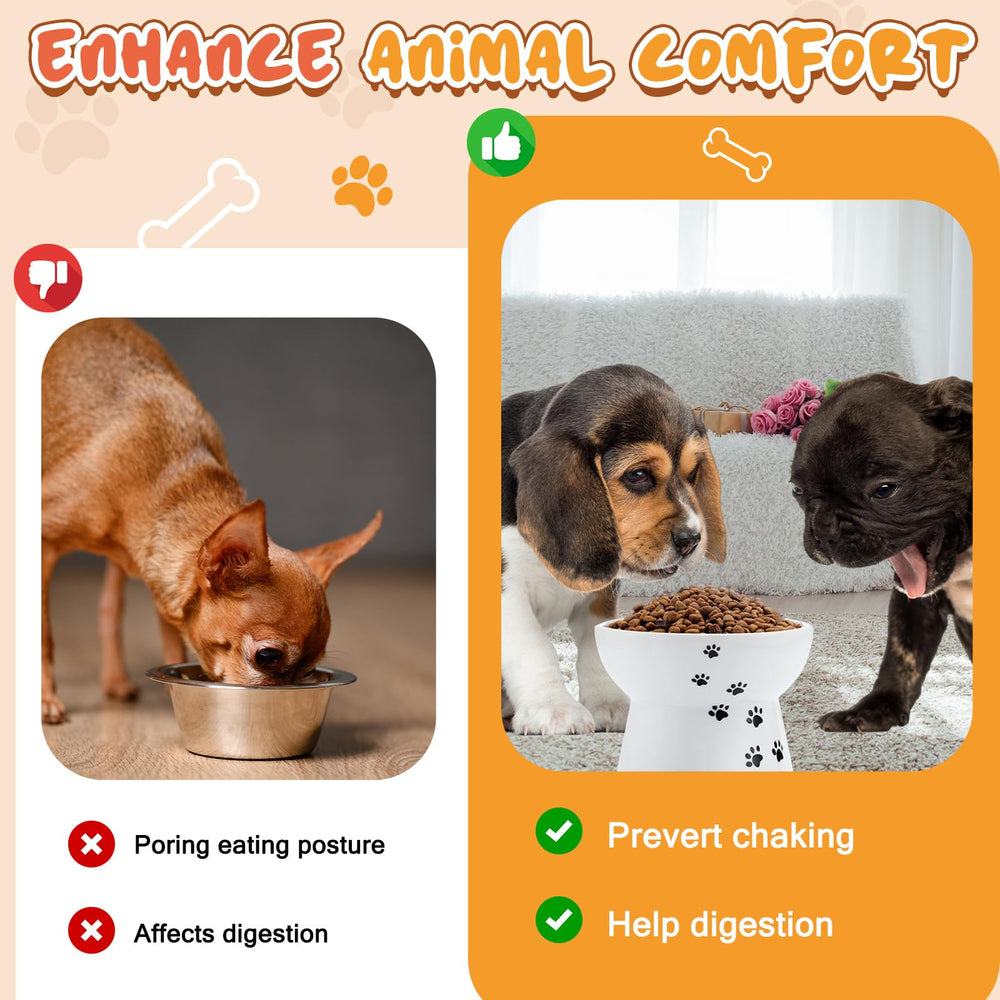 Teenyyou small-dog mealtime size promotes comfortable neck posture