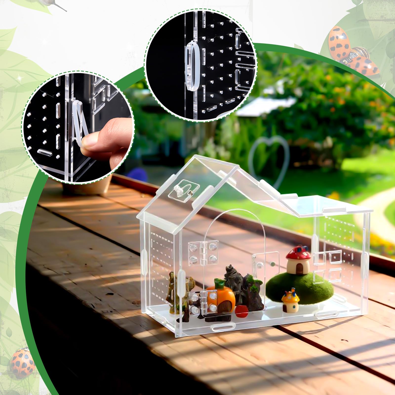 Teenyyou spider habitat supports multiple small to medium species safely