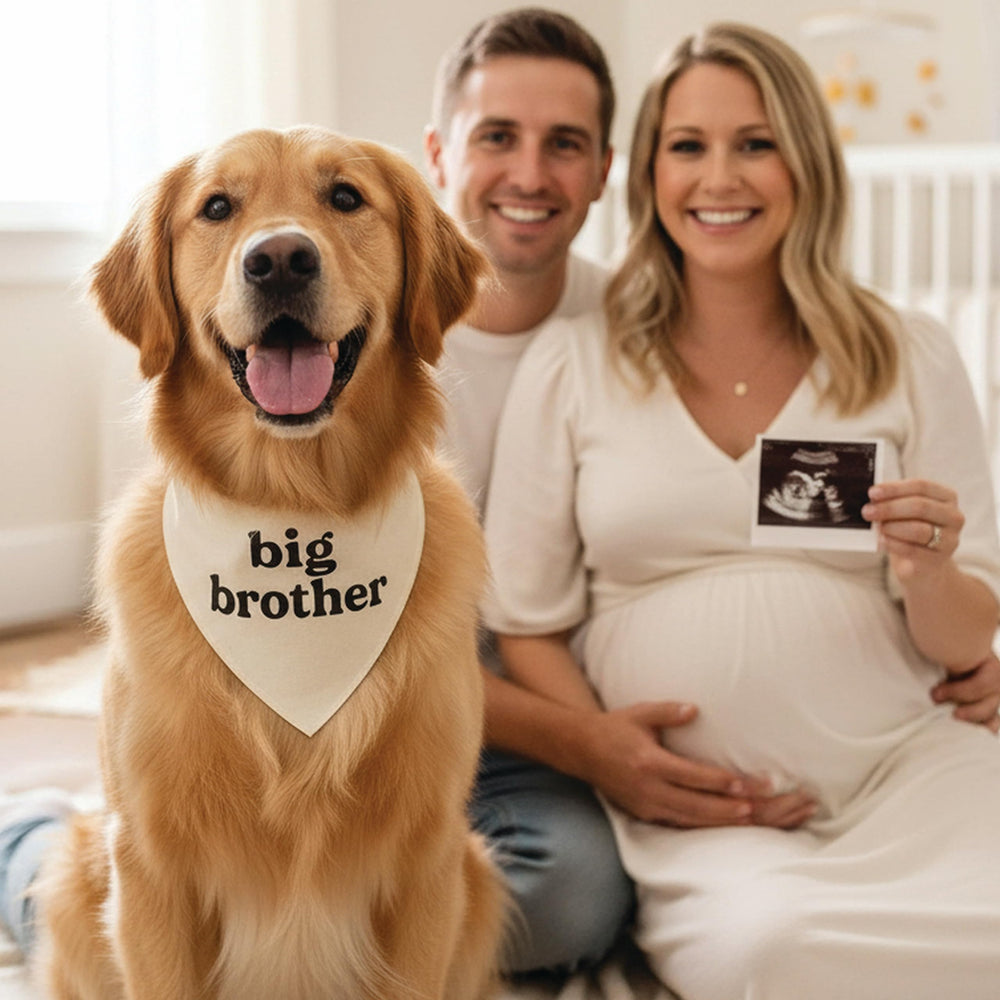 Tees and Tails matching family apparel idea for festive photos and events