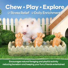 TEEWY guinea pig chew carrot 2 safe for gnawing and active exploration