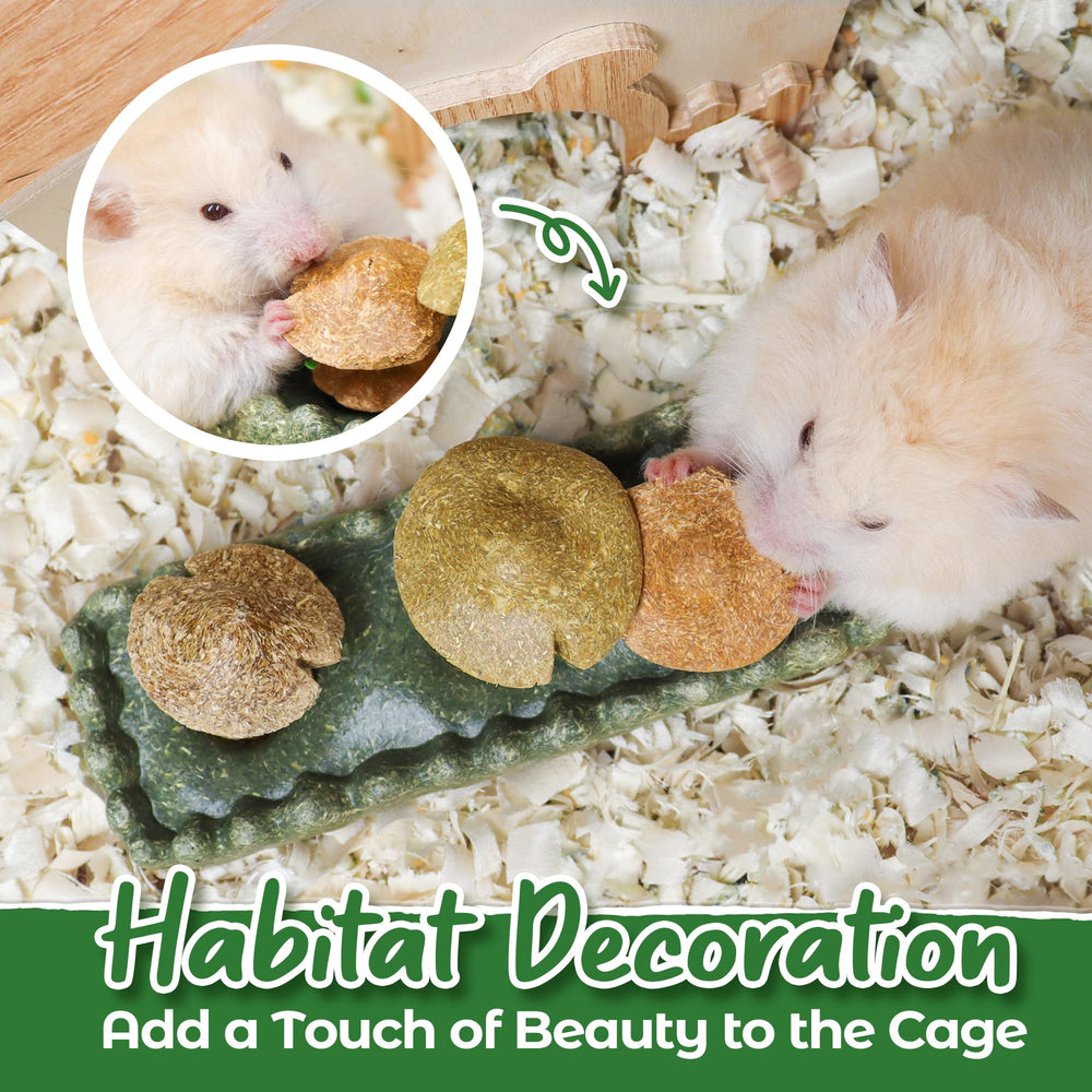 TEEWY chew toys in cage encourage enrichment and exploration.