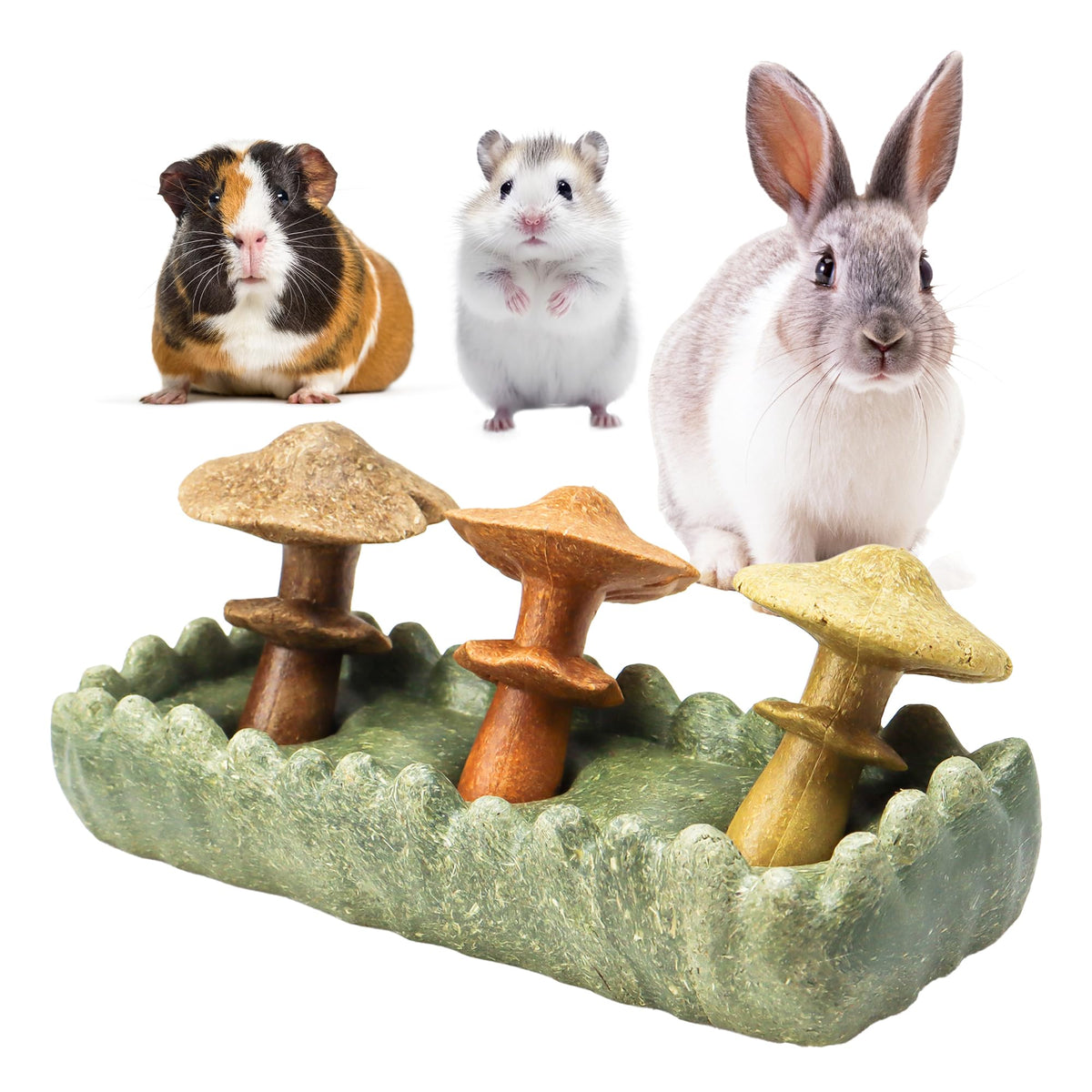 TEE WY guinea pig chew toys with mushroom shapes for engaging chewing.