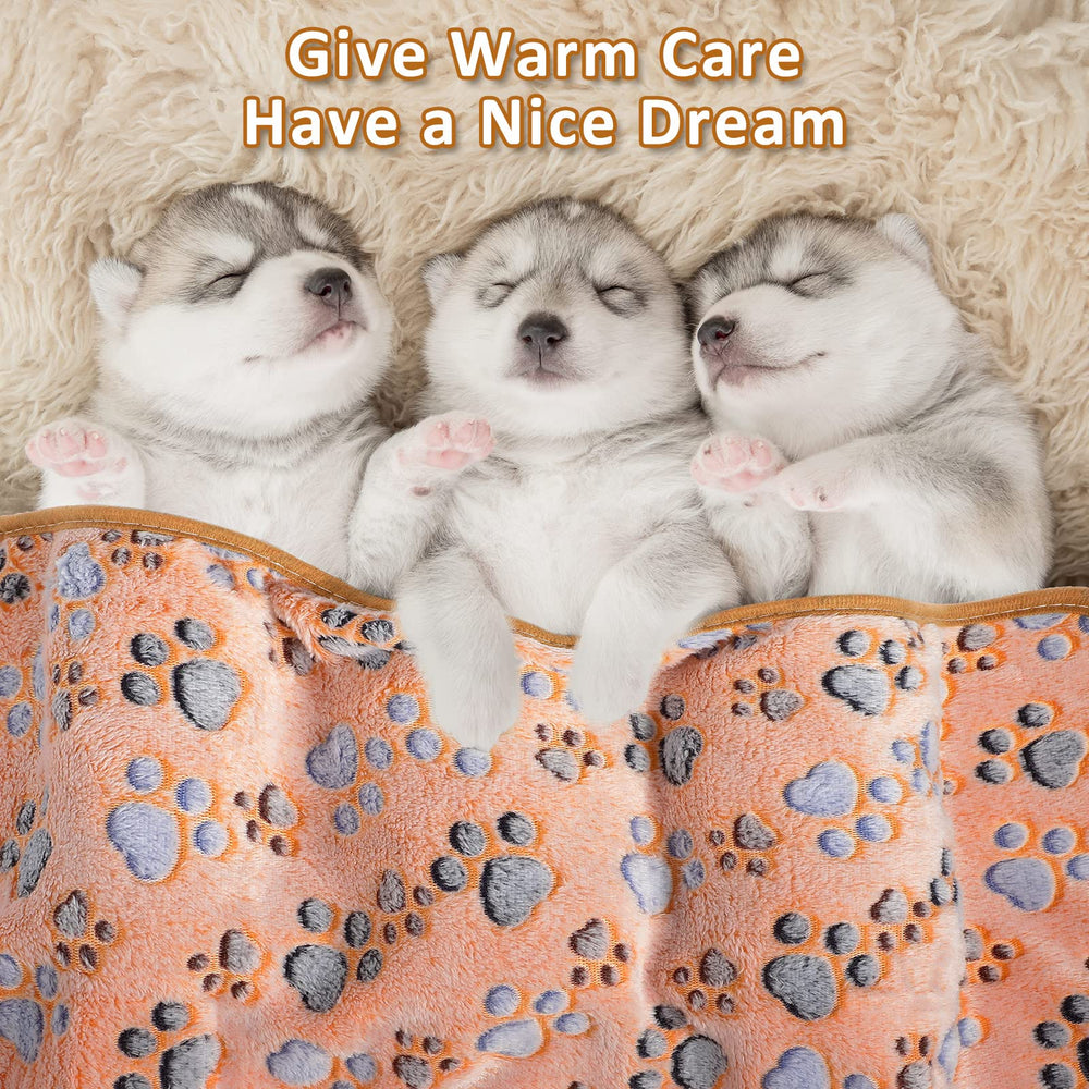 Tegeme new-pet gift pack option for everyday warmth and comfort