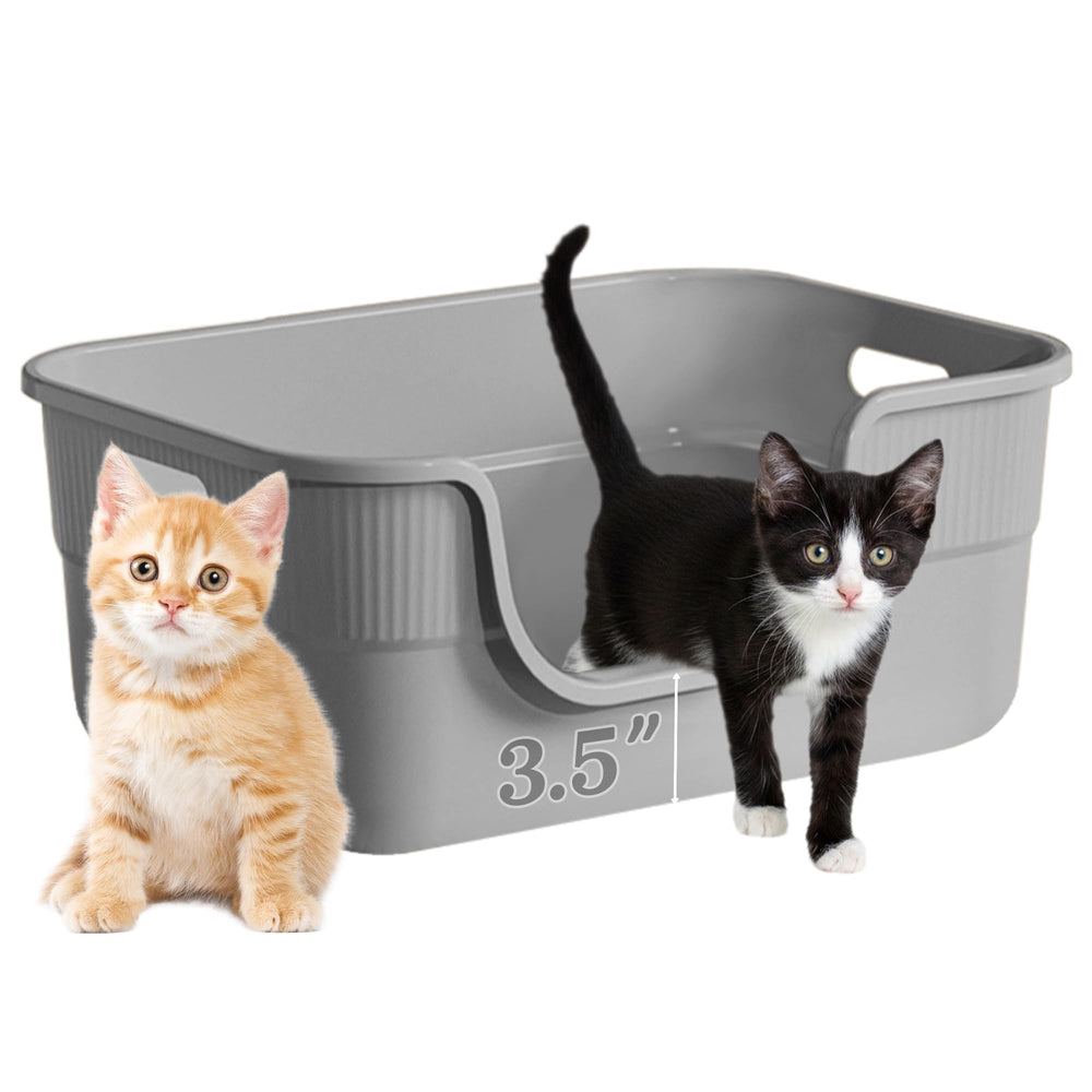 Tehoao low-entry kitty litter box front view aids easy kitten entry and reduces stress.