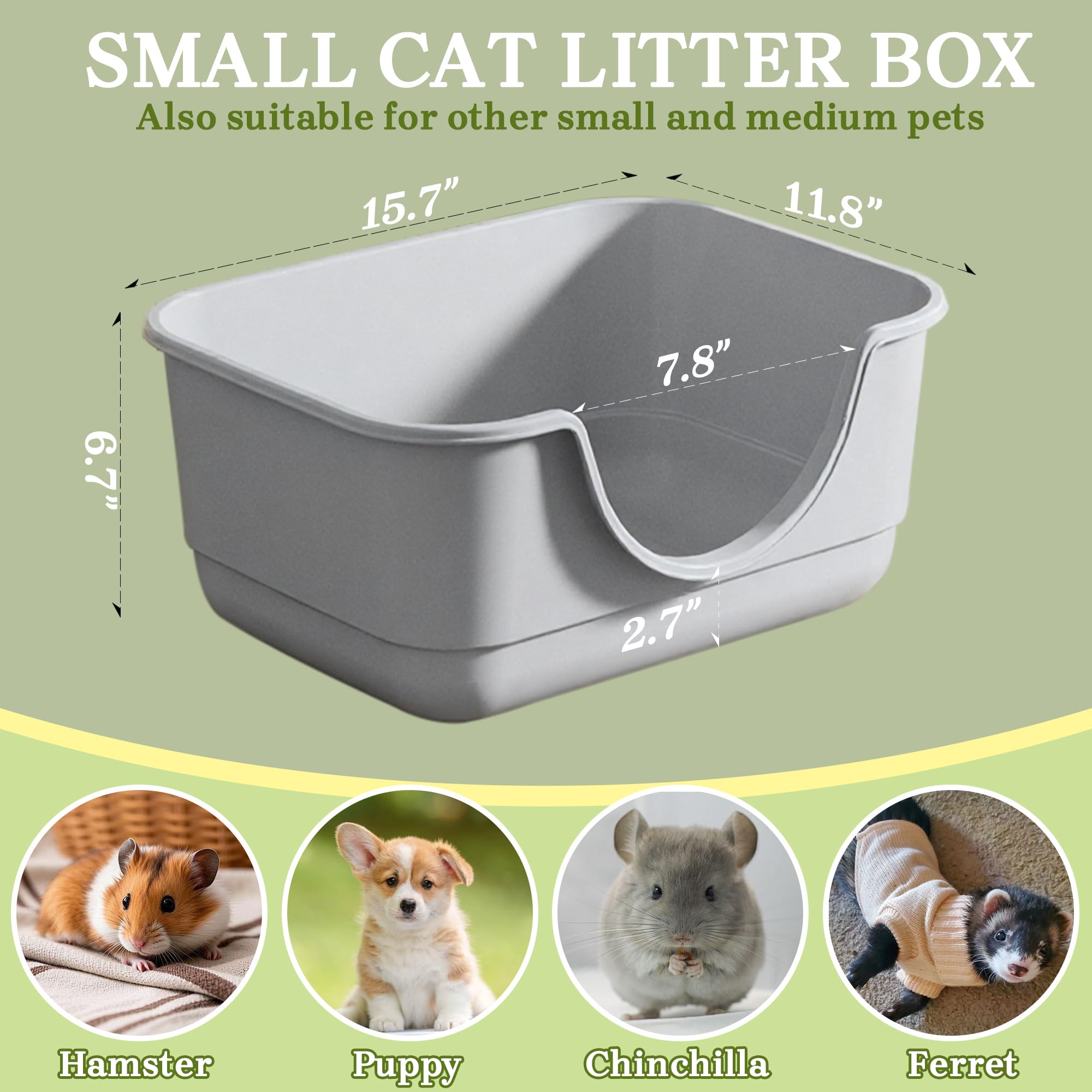Tehoao open-top kitten litter box inside view for quick health checks