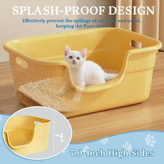 Tehoao thick, impact-resistant PP plastic for durability and simple cleaning.