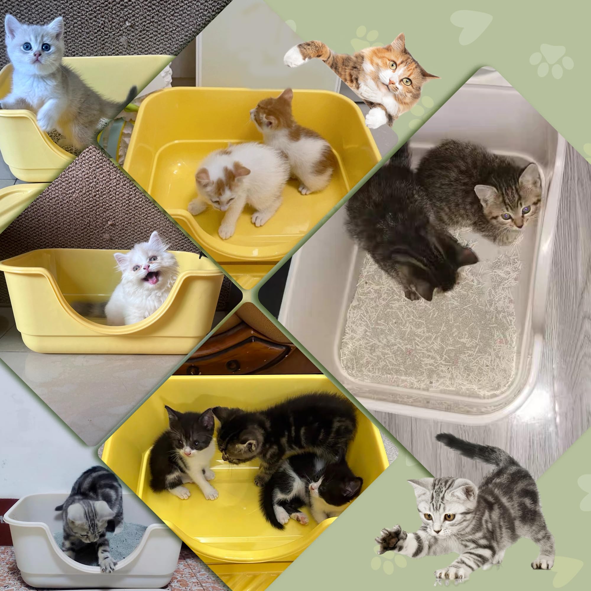 Tehoao small-pet litter box color-options front-view fits homes