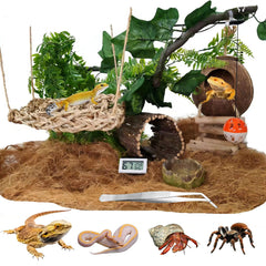 TEICCI 20-item starter set for bearded dragon tank enables quick, complete terrarium setup.