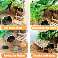 TEICCI bearded dragon hammock adds cozy lounging space.