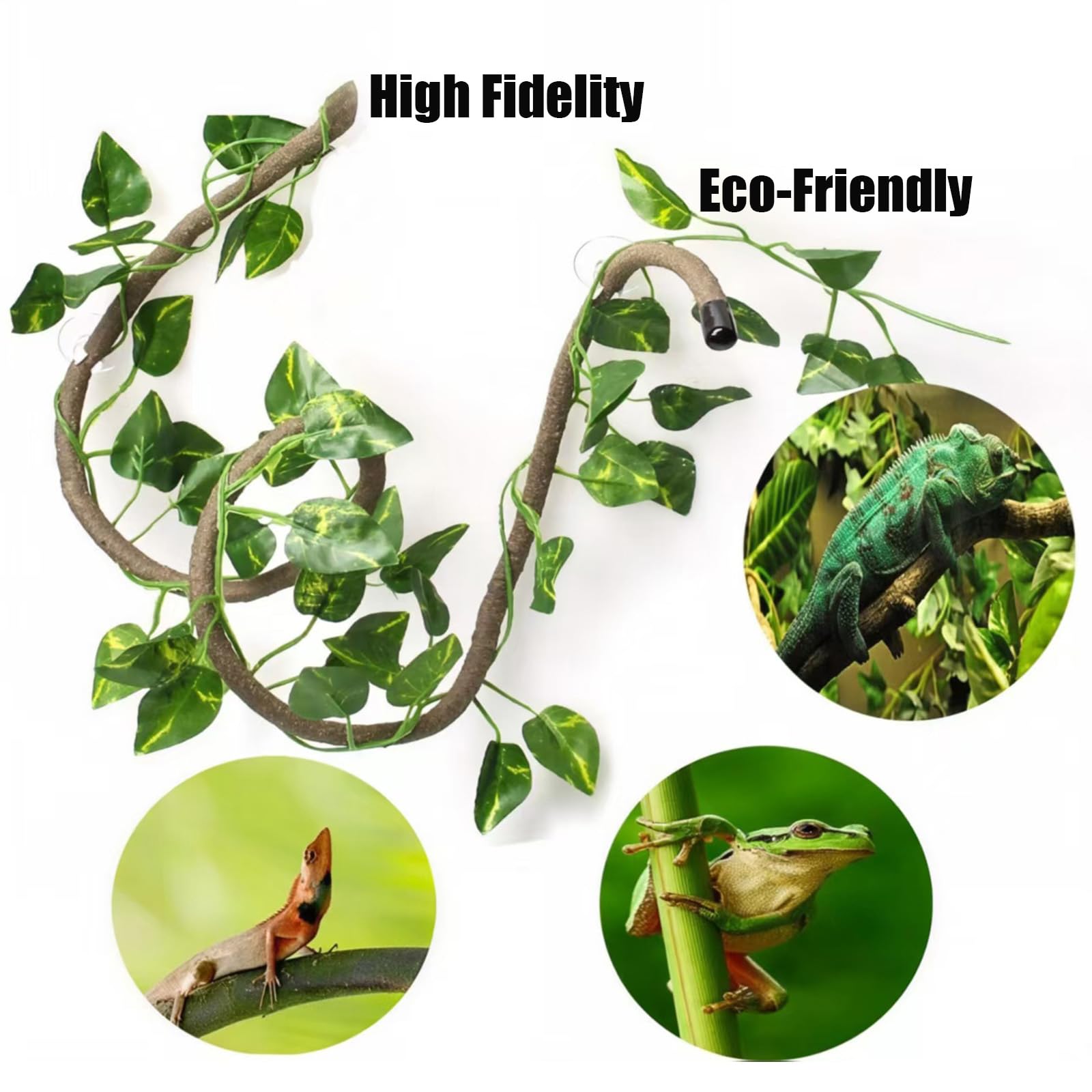 TEICCI feeding dishes and tools simplify terrarium mealtime.