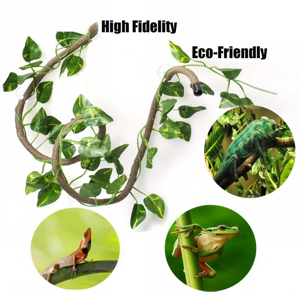 TEICCI feeding dishes and tools simplify terrarium mealtime.