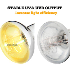 TEKIZOO sun lamp in a vivarium provides heat and light for day cycles
