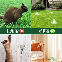 TELUNSU outdoor application shown on porch away from plants