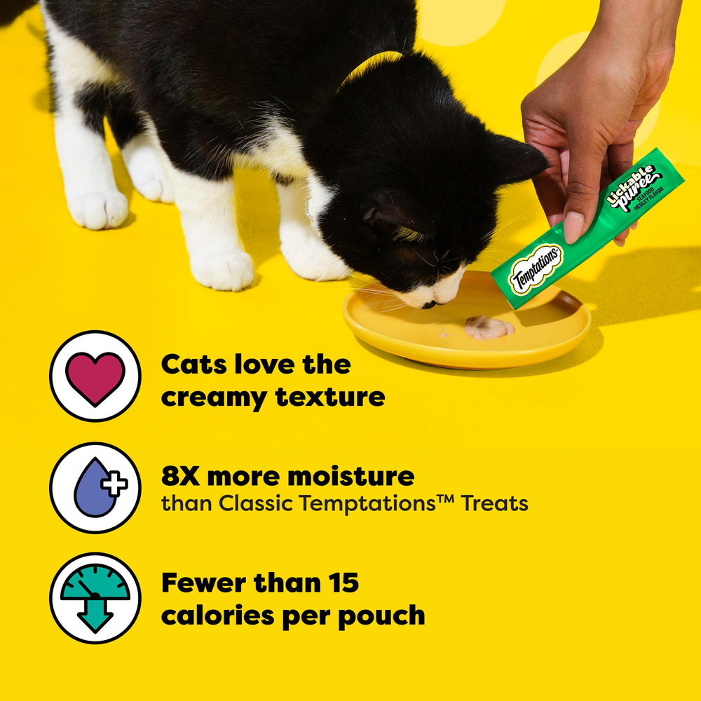 Temptations bonding time with cat as treat is hand-fed
