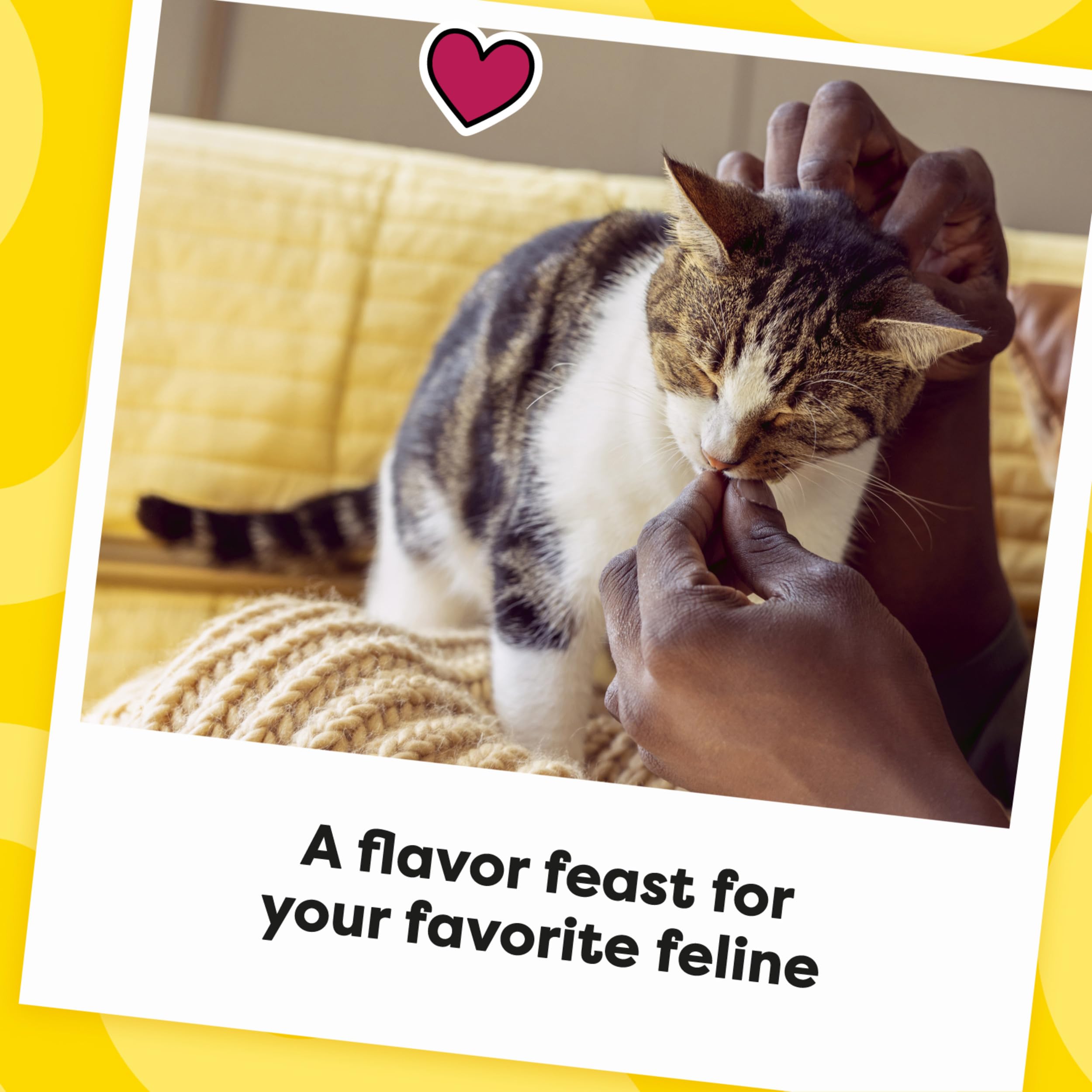 Cat enjoying Temptations Surfer's Delight treat from a dispenser during playtime.