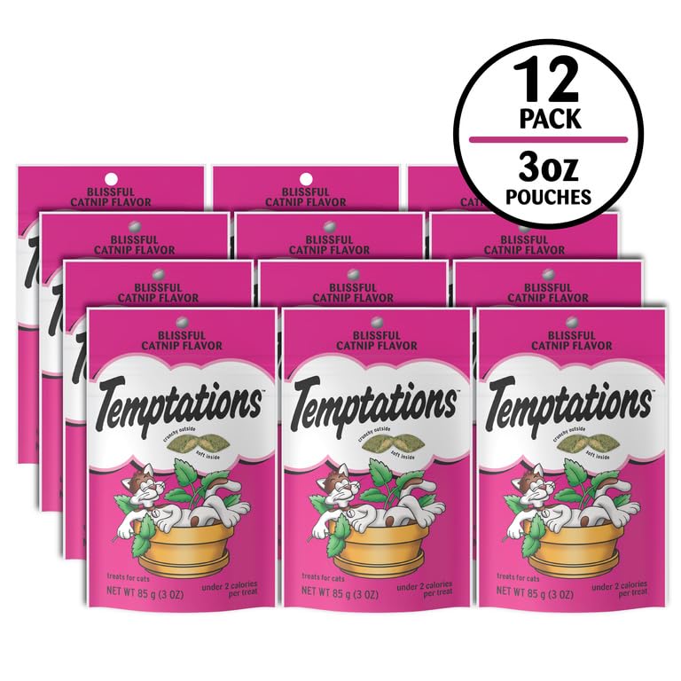 Temptations Catnip Flavor close-up highlights aroma and texture.
