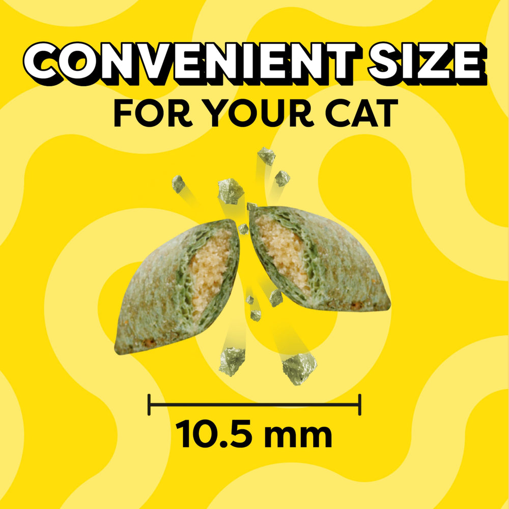 Temptations catnip flavor treats—perfect daily routine snack for moments of joy.