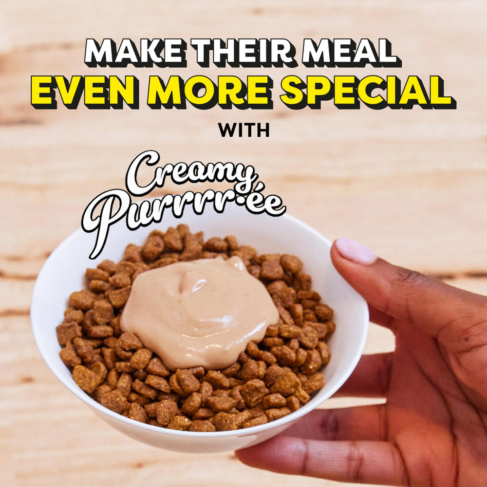 Temptations Creamy Puree label emphasizes no added sugar or artificial preservatives.