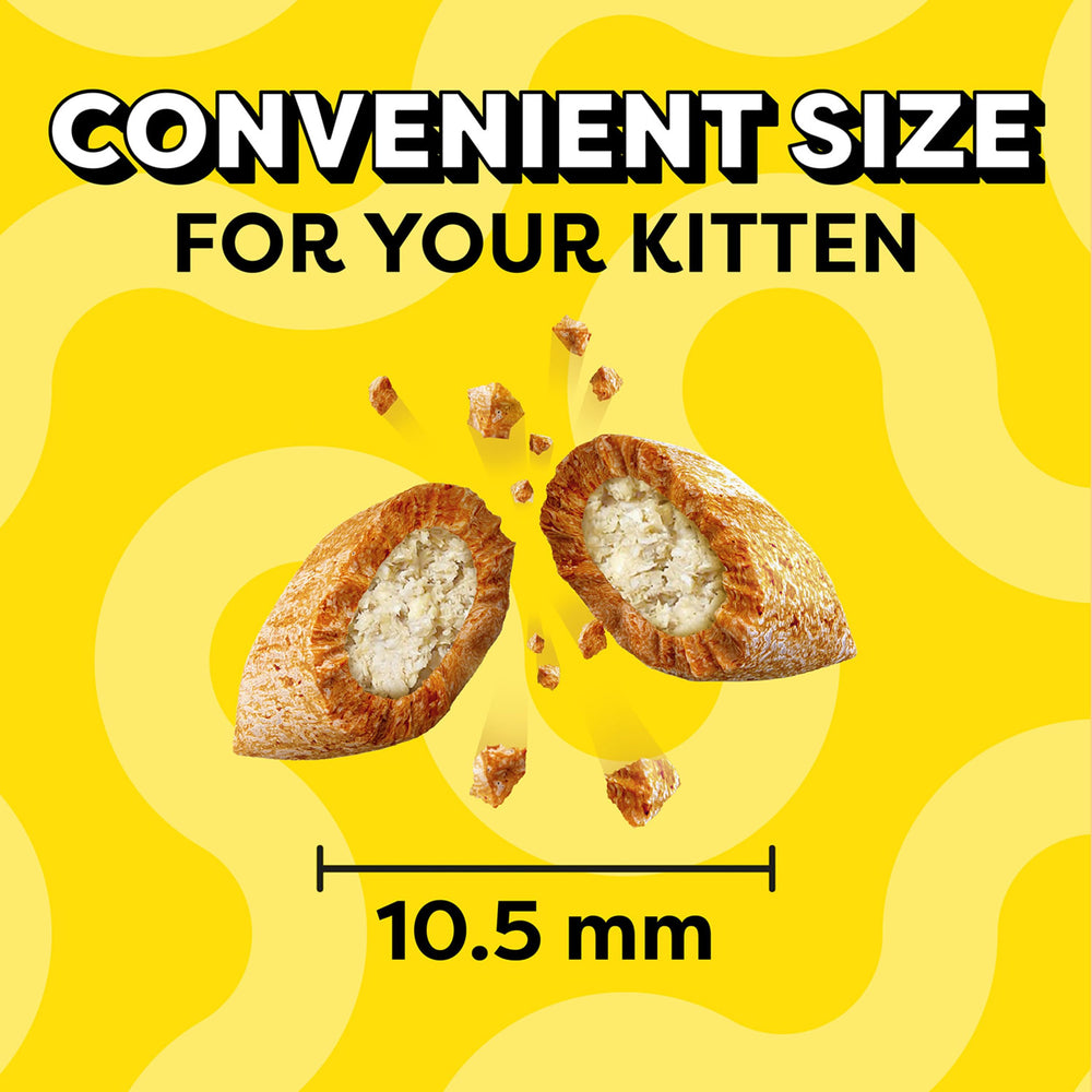 Four Temptations pouches in a convenient four-pack