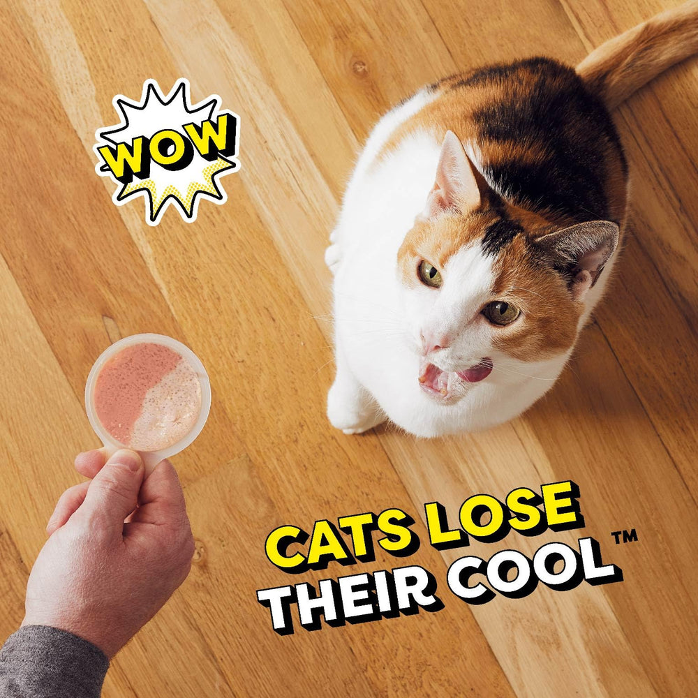 Temptations Lickable Spoons cat treats as a reward during training.